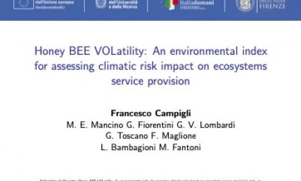 II Workshop Non-parametric estimation of stochastic volatility models and climate econometrics